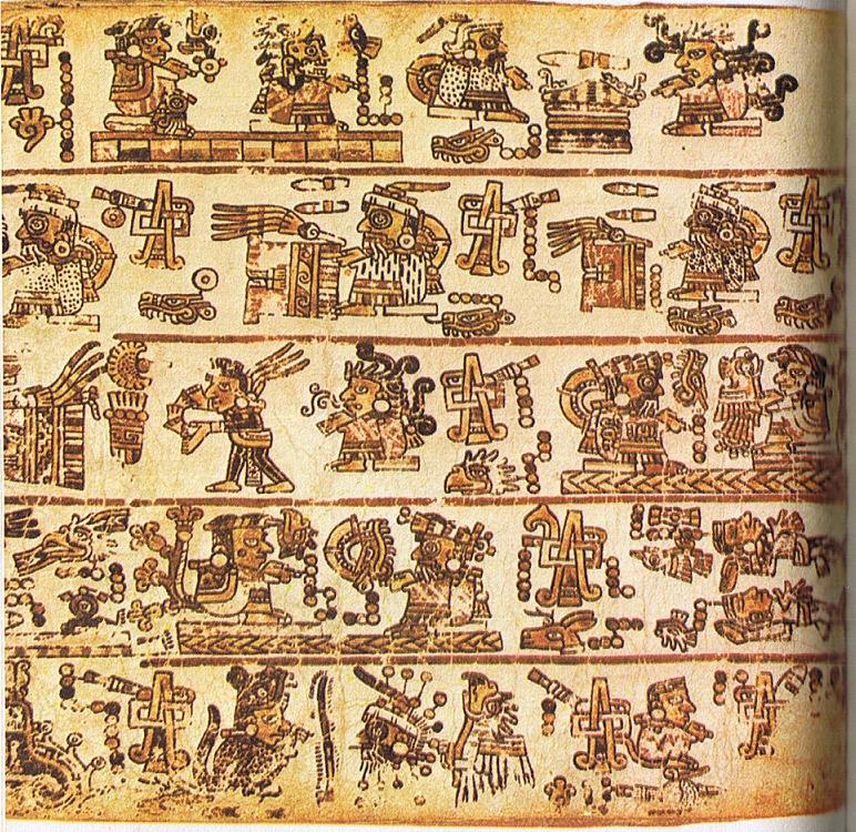 Codex Bodley von 1951